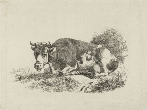 Lying cow