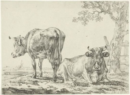 Cows in a meadow