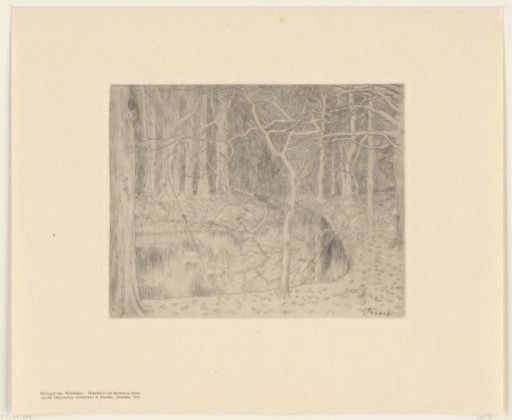 Forest with pond and swans