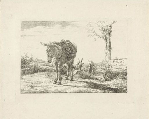 A donkey and two goats