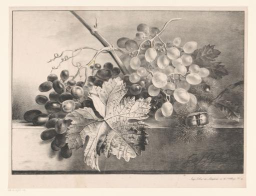 Still life with grapes and chestnuts