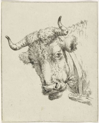 Head of a cow