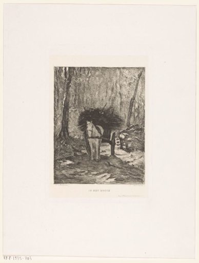 In the forest