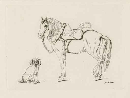 Saddled horse and a dog