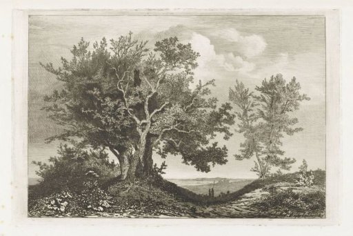 Country road between two groups of trees