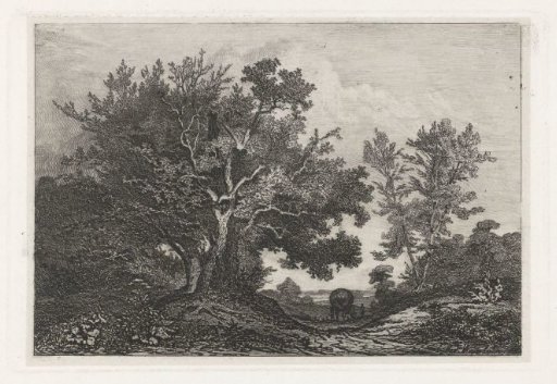 Country road between two groups of trees