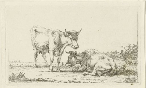 Cows in a landscape
