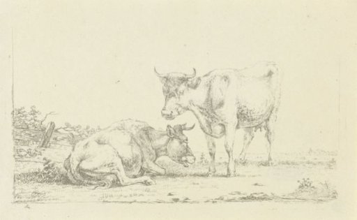 Cows in a landscape