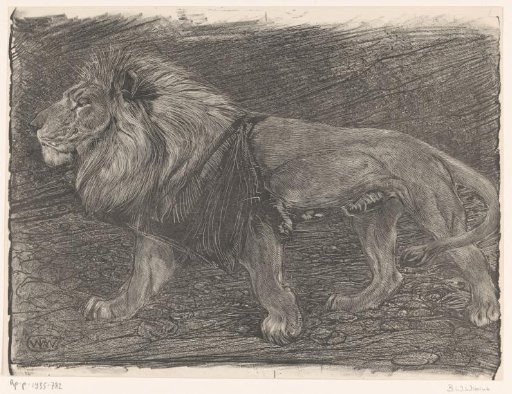 Walking lion