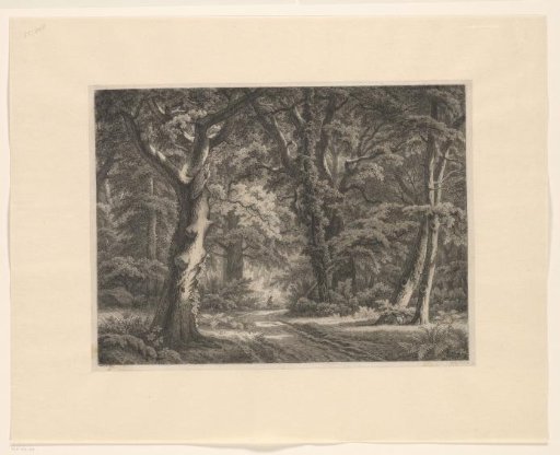 Forest landscape with hunter