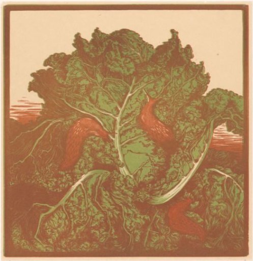 Three Slugs on a Cabbage
