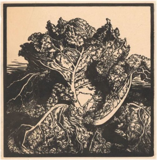 Three Slugs on a Cabbage
