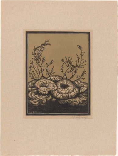 Flowering Plants
