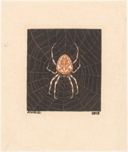 Spider in a Web