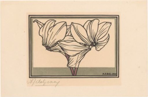 Cyclamen
