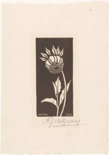 Dahlia