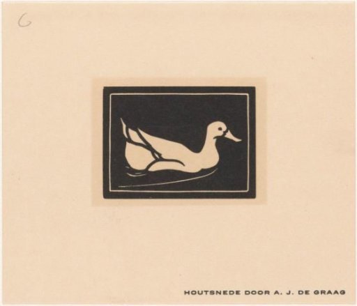 Swimming Duck