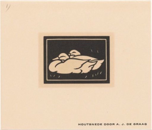 Two Ducks