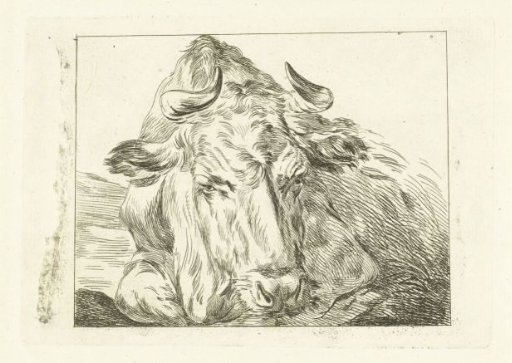 Reclining cow