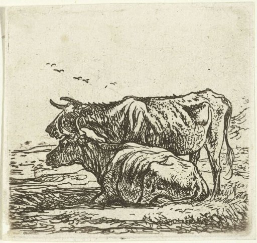 Two Cows