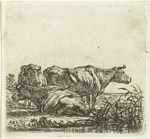 Three Cows