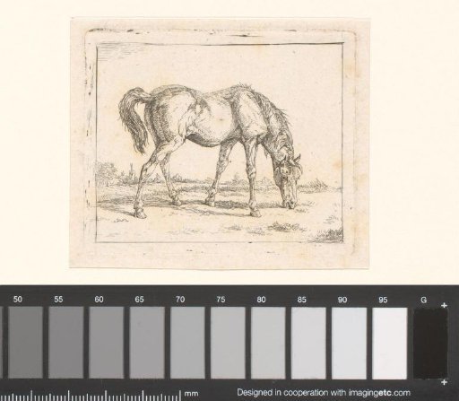 Grazing horse to the right