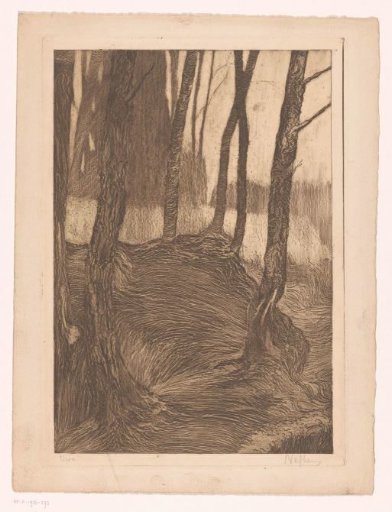 Woodland edge