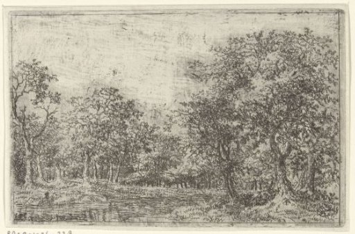Landscape with a Pool