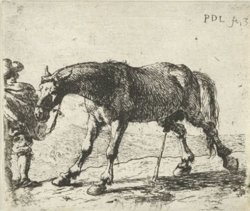 Urinating horse