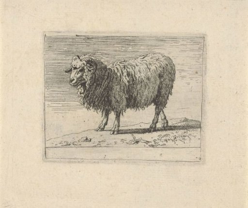 Ram
