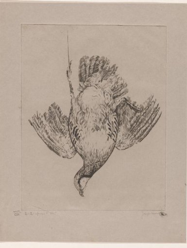 Dead partridge, hanging by one leg