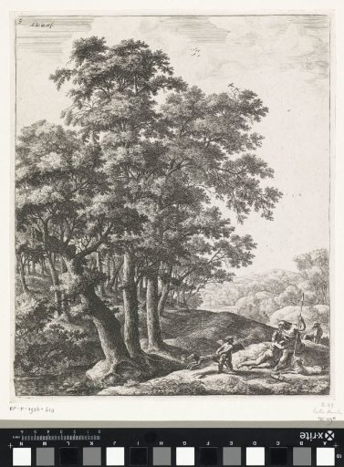 Venus and Adonis
