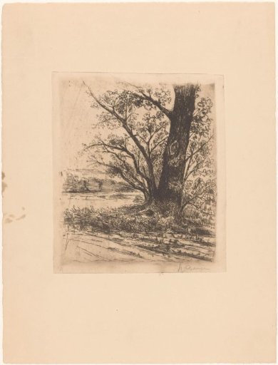 Tree by a Path