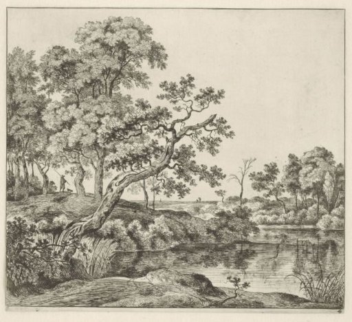 Landscape with a hanging tree by the water
