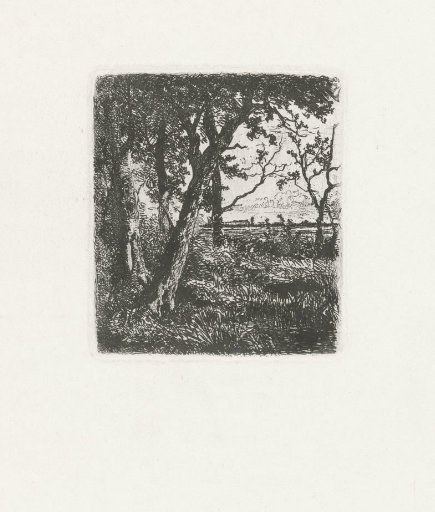 Trees by the Water's Edge