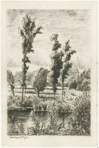 Trees by a ditch