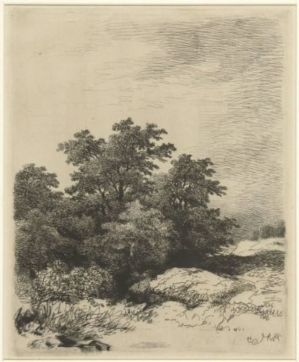 Landscape with trees