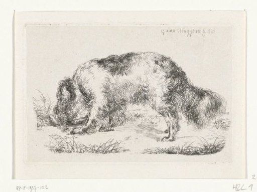 Drinking dog