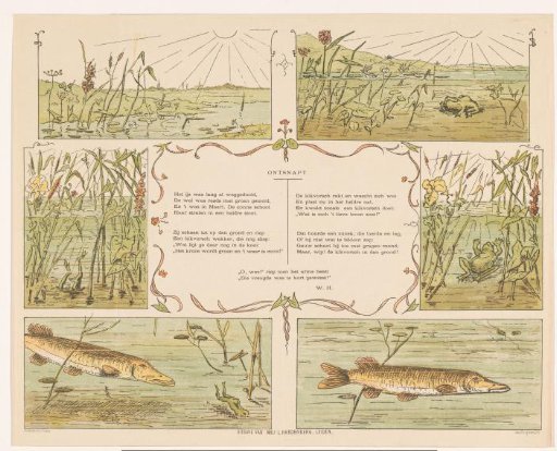 Six illustrations for a poem about a pike and a frog