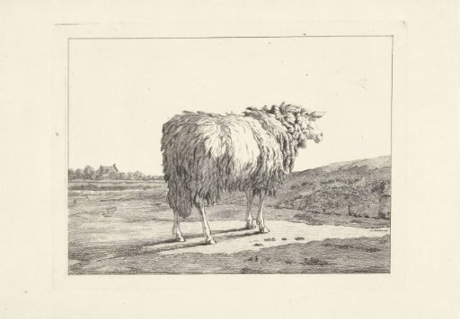 Sheep in a landscape
