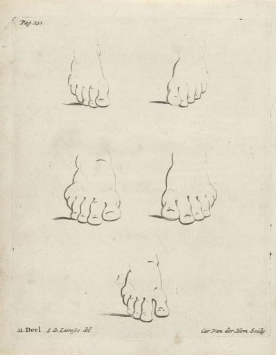 Studies of Feet