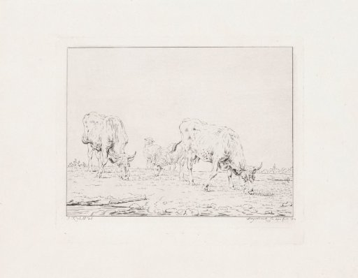 Grazing cows