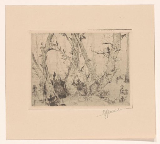 Woodland View