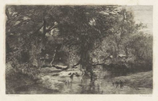 Trees along the water