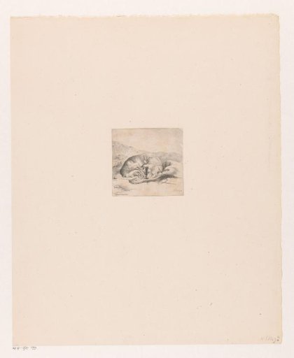 Sleeping Dog