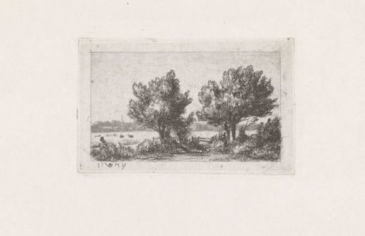 Trees in a meadow landscape