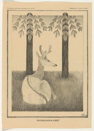 Barasingha Deer