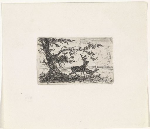Two deer under a tree