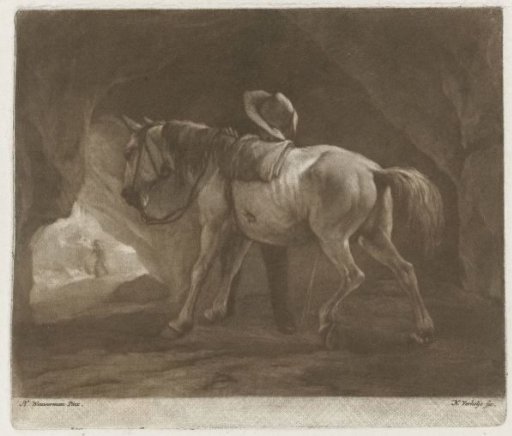 Urinating Horse