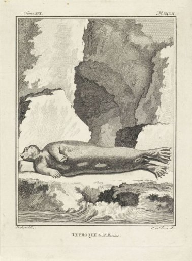 Reclining seal
